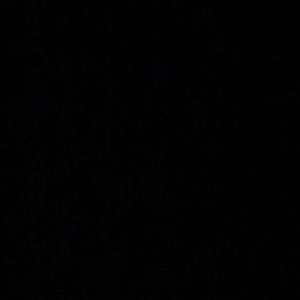 Meet your Posher, Nikki-shea